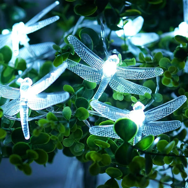 Battery Powered Fairy Lights, 1.5M 10 LED Twinkle Lights for Indoor and Outdoor Decoration, Warm White Outdoor String Lights