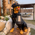 Canine Solar Lantern Garden Sculpture – Decorative Outdoor Dog Light for Garden & Patio