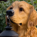 Canine Solar Lantern Garden Sculpture – Decorative Outdoor Dog Light for Garden & Patio