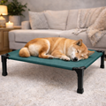 Elevated Cooling Dog Bed | Breathable Mesh Pet Cot with Durable Frame | Comfortable Support for Indoor and Outdoor Use 3
