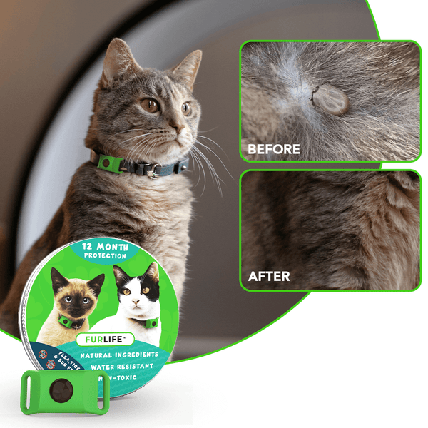 FurLife 12-Month Natural Flea & Tick Tags for Cats