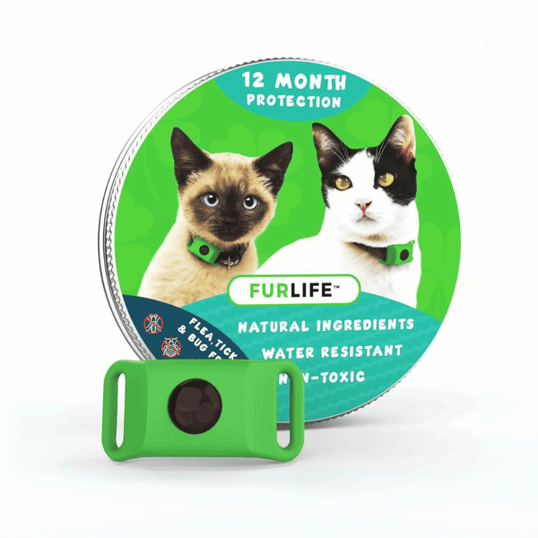 FurLife 12-Month Natural Flea & Tick Tags for Cats