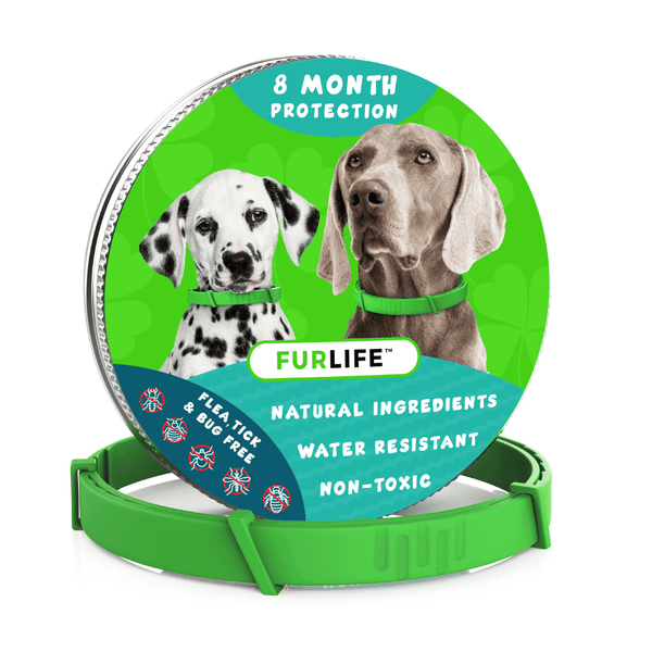 FurLife 8-Month Natural Flea & Tick Collar for Dogs