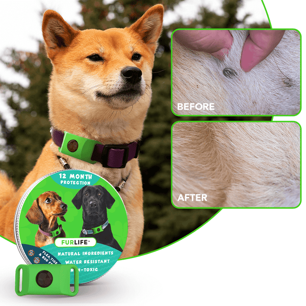 FurLife Year-Long Flea & Tick Protection — Natural Formula for Cats & Dogs