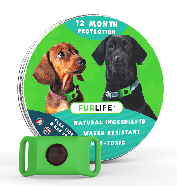 FurLife Year-Long Flea & Tick Protection — Natural Formula for Cats & Dogs