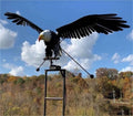 Garden Elegance | Metal Bird Wind Spinner with Eye-Catching Design | Outdoor Decor for Vibrant Garden Spaces 3