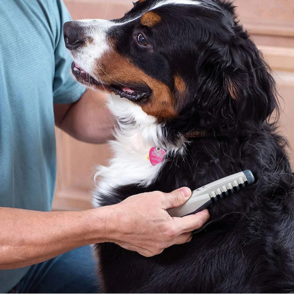 Gentle Groomer | Dog Grooming Clippers with Pain-Free Trimming | Safe Pet Trimmer for Healthy, Shiny Fur