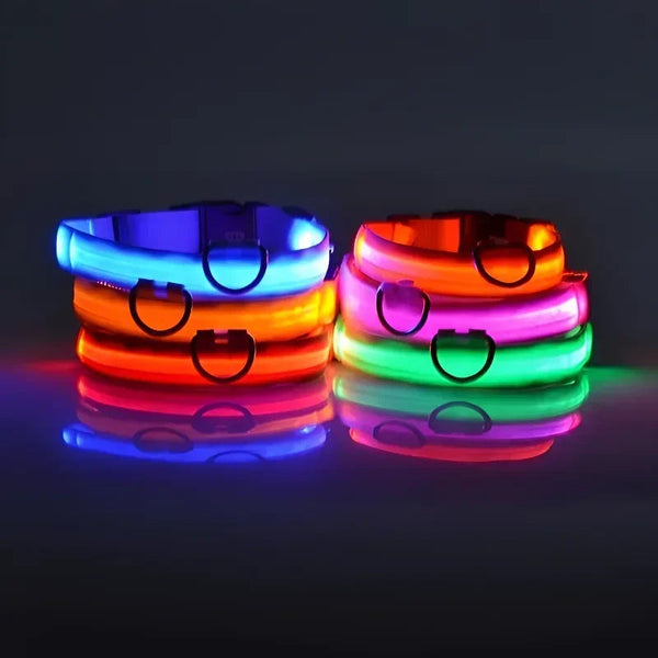 GlowSafe | LED Dog Collar with High-Intensity Glow & Adjustable Fit | Enhanced Visibility for Night Walks 1