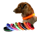 GlowSafe | LED Dog Collar with High-Intensity Glow & Adjustable Fit | Enhanced Visibility for Night Walks 2