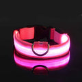 GlowSafe | LED Dog Collar with High-Intensity Glow & Adjustable Fit | Enhanced Visibility for Night Walks 6