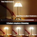 Golden Touch Table Lamp with Crystal Shade, USB Rechargeable Cordless Desk Lamp with Dimmable LED Light