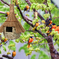 Hand-Woven Grass Bird House – Eco-Friendly Cozy Nest for Garden and Porch, Lightweight and Durable Shelter for Birds