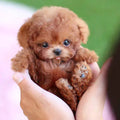 Interactive Plush Dog with Realistic Movements & Touch Response | Comforting Companion for All Ages