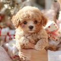 Interactive Plush Dog with Realistic Movements & Touch Response | Comforting Companion for All Ages
