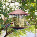 Large Capacity Outdoor Bird Feeder with Twist-Lock Cover – Holds 2.6 Pounds of Seeds for Garden and Backyard Use
