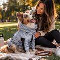 Outdoor Companion | Waterproof Dog Rain Jacket with Reflective Shell | Lightweight Design for All-Weather Comfort 4