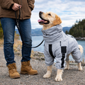 Outdoor Companion | Waterproof Dog Rain Jacket with Reflective Shell | Lightweight Design for All-Weather Comfort 7