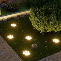PawGlow Solar Garden Light – LED Paw Print Stake Light for Garden & Patio, Warm or Cool White
