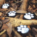 PawGlow Solar Garden Light – LED Paw Print Stake Light for Garden & Patio, Warm or Cool White