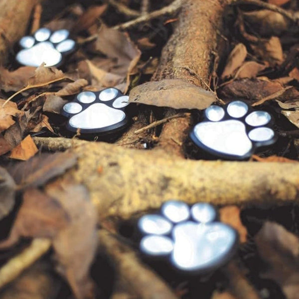 PawGlow Solar Garden Light – LED Paw Print Stake Light for Garden & Patio, Warm or Cool White