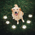 PawGlow Solar Garden Light – LED Paw Print Stake Light for Garden & Patio, Warm or Cool White