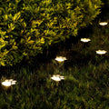 PawGlow Solar Garden Light – LED Paw Print Stake Light for Garden & Patio, Warm or Cool White