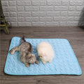 Pet Cooling Mat for Dogs and Cats with Rapid Cooling Technology and Plush Padding – Lightweight, Portable, Indoor/Outdoor Use