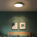 Scandinavian Flush Mount Ceiling Light, Iron Frame with Acrylic Diffuser – Modern Minimalist Design for Dining Room and Living Spaces