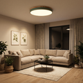 Scandinavian Flush Mount Ceiling Light, Iron Frame with Acrylic Diffuser – Modern Minimalist Design for Dining Room and Living Spaces