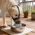SecureFit | Dog Muzzle for Barking with Adjustable Straps | Comfortable Fit for Safe Behavior