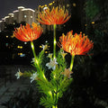Solar Flower Fairy Lights – Outdoor Decorative LED Garden Lights with Stainless Steel Stems for Elegant Illumination