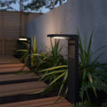 Solar LED Garden Light – Waterproof Outdoor Solar Lights for Pathways and Patios, Energy-Efficient LED, Easy Installation