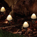 Solar Mushroom Garden Lights – 10 LED Outdoor Lights with Dusk-to-Dawn Sensor, Waterproof Solar Lights for Garden Decor
