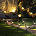 Solar Outdoor Half-Moon Light with Dusk-to-Dawn Sensor – Waterproof Landscape Lighting for Garden and Pathway