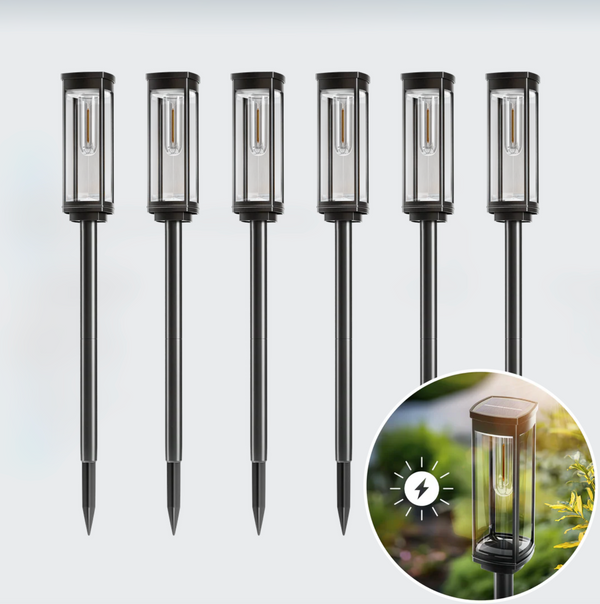 Solar Pathway Lights for Garden and Driveway – Waterproof, Wireless Outdoor Lighting with Warm Glow