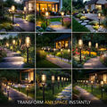 Solar Pathway Lights for Garden and Driveway – Waterproof, Wireless Outdoor Lighting with Warm Glow