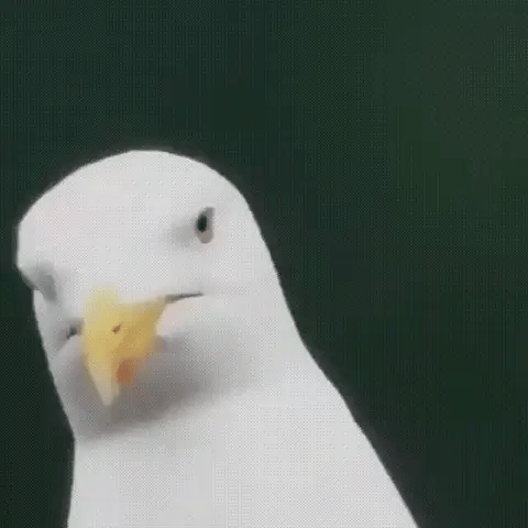Ultra-Zoom Monocular Telescope with HD Lens & Smartphone Attachment | Lightweight Design for Bird Watching 1